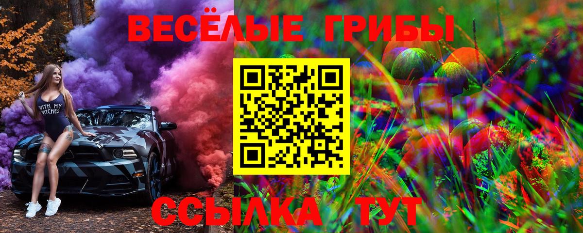 Псилоцибиновые грибы мухоморы  Галлюциногенные грибы GOLDEN TEACHER  Вход с VPN  Рославль 