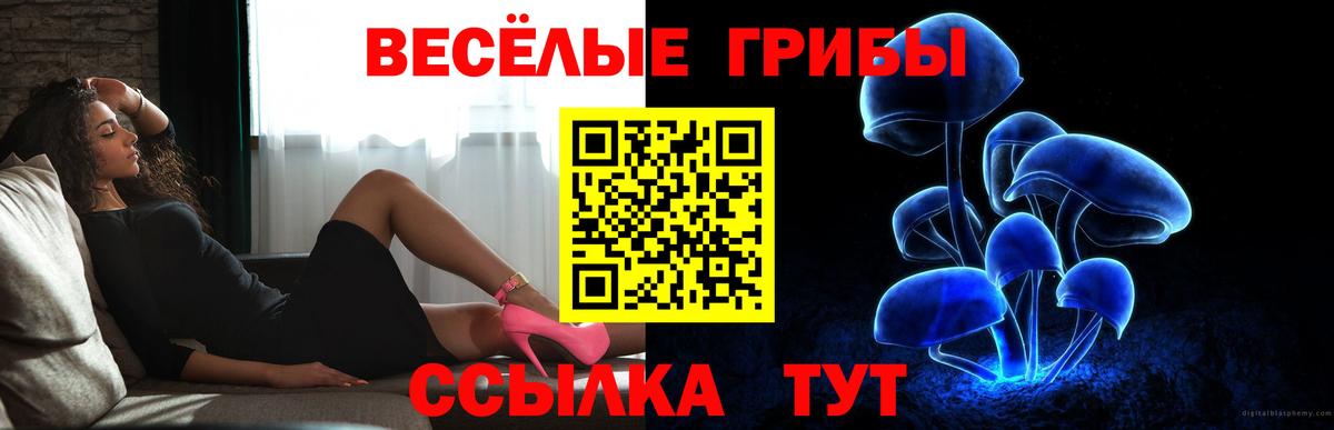 Псилоцибиновые грибы мицелий Рославль